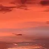 TRISHBROOKS89 - @trishbrooks89 - TikTok