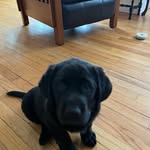 Trish Carney - @trish.carney1 - Instagram