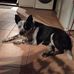 Trish Carney - Facebook