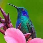 Trish Carpenter - @trish.roszmann.3 - Instagram