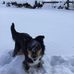 Trish Carroll - Facebook