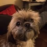 Trish Carroll - @trishcarroll64 - Instagram