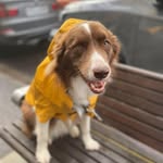 Trish Carroll - @where.is.trish - Instagram