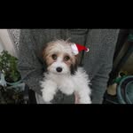 Trish Butler - @trishcoffeybutler - Instagram