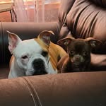 Trish Coffey - @pcoffey23 - Instagram