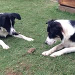 Trish Crawford - @patricia.crawford.7121 - Instagram