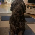 Trish Daly - @padser123 - Instagram