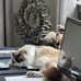 Trish Daly - Facebook