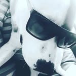 Trish Daniels - @bossys_world - Instagram