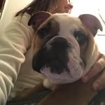 Trish Daniels - @trishmcds - Instagram