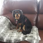 Trish Dutton - @trish.dutton.90 - Instagram