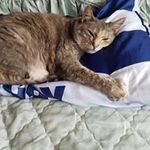 Trish Fleming - @trish.fleming.98 - Instagram