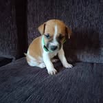 Trish Gordon - @bdbdhrhehdhbdbbrbbrb - Instagram