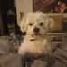 Trish Grace - Facebook