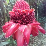 trishgrace - @trishgrace70 - Instagram