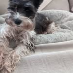 trish graham - @trishgraham72 - Instagram