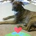 Trish Graham - Facebook