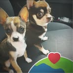 Trish Graham - Facebook