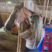 Trish Harrison - Facebook