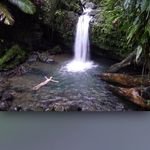 Trish Hart - @trishhart3818 - Instagram