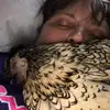 Trish HENderson - @tr15h64w - TikTok