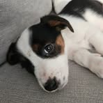 Trish Hobson - Facebook