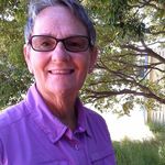 trish howe - @trishthenannadish - Instagram
