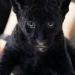 trish howell - @trishhowell983 - Instagram