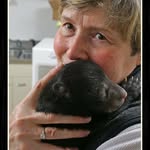 Trish Kirk - @trish_4bears - Instagram
