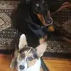 trishmartinez3 - @trishmartinez3 - TikTok