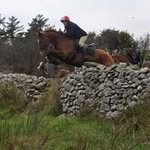 Trish McMahon - @trishmcmahon1982 - Instagram