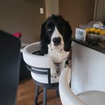 Trish McMahon Powell - @trish.m.powell - Instagram