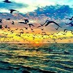 Trish Morrison - @craftswithtrish - Instagram