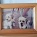 Trish Newman - Facebook