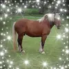 trishnewman737 - @trishnewman737 - TikTok