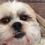 Trish Parker - @trish.parker.9404 - Instagram