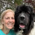 Trish Bobst Ross - @trishbobstross - Instagram