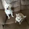 Trish Shaw - @trish.shaw95 - TikTok