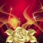 Trish Shepherd - @tish55566 - Instagram