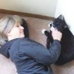 Trish Spies Shepherd - @trishspies - Instagram