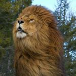 Trisha Shepherd - @trisha.shepherd.560 - Instagram