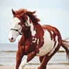 Tricia Wagner - @tricia._.wagner - TikTok