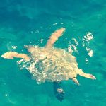 Trish Walters - @walterstrish - Instagram