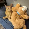 Trish Wright - @trish.wright7 - TikTok