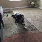 Trisha Bailey - @joy1972peace - Instagram