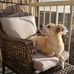 Trish Baldwin - Facebook