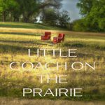Trisha Baldwin - @littlecoachontheprairie - Instagram