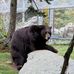 Trisha Barnhart - Facebook