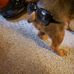 Trisha Barr - Facebook