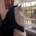 Trisha Barro - Facebook